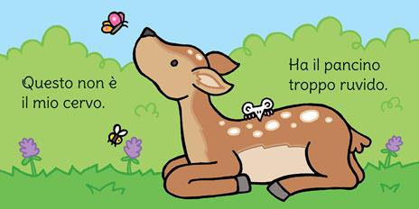 Dov'è il mio cervo? Ediz. a colori - Fiona Watt - 2