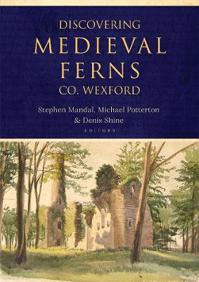 Discovering Medieval Ferns, Co. Wexford - cover