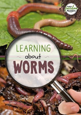 Learning about Worms - Holly Duhig - cover