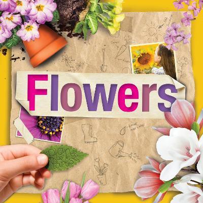 Flowers - Steffi Cavell-Clarke - cover