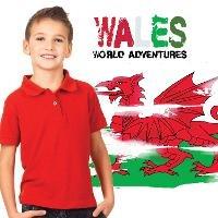 Wales - Harriet Brundle - cover