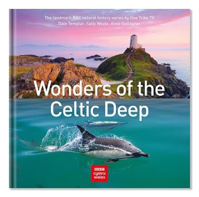Wonders of the Celtic Deep - Dale Templar,Sally Weale,Anne Gallagher - cover
