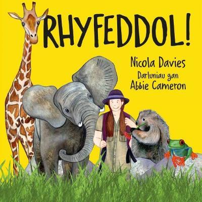 Rhyfeddol! - Nicola Davies - cover