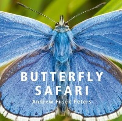 Butterfly Safari - Andrew Fusek Peters - cover