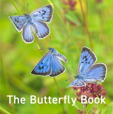 Nature Book Series: The Butterfly Book - Jane Russ,Andrew Fusek Peters - cover