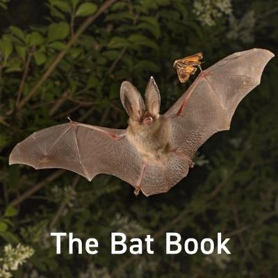 The Bat Book - Hugh Warwick - cover