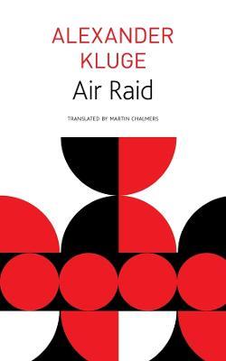 Air Raid - Alexander Kluge,Martin Chalmers,W. G. Sebald - cover
