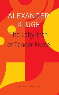 The Labyrinth of Tender Force - 166 Love Stories - Alexander Kluge,Wieland Hoban - cover