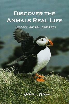 Discover the animal's real life Explore: Explore animal habitats - Alison Steven - cover