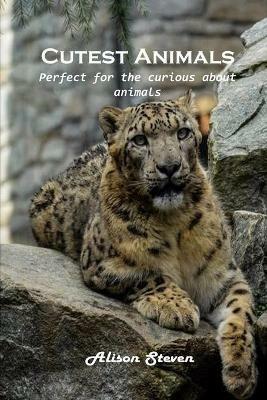 Cutest Animals: Perfect for the curious about animals - Alison Steven - cover