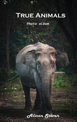 True Animals: Photo album