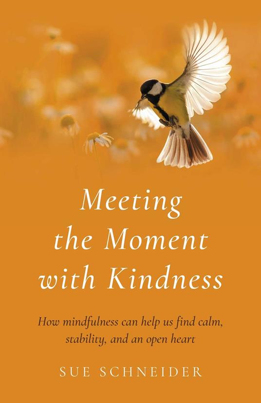Meeting the Moment with Kindness