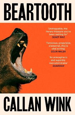 Beartooth - Callan Wink - cover