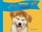 The Puppies Behavior:How to Explain Quickly and in a Fun Way to a Child the Behavior of a Puppy