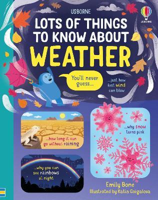 Lots of Things to Know About Weather - Emily Bone - cover