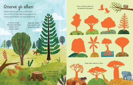 Gli alberi. Con adesivi. Ediz. illustrata - Jane Bingham - 2