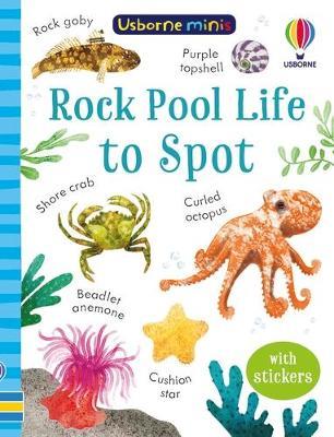 Rock Pool Life to Spot - Simon Tudhope - cover