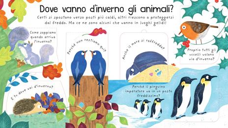 Dove vanno d’inverno gli animali? Ediz. a colori - Katie Daynes - 2