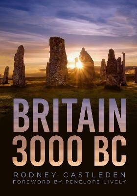 Britain 3000 BC - Rodney Castleden - cover