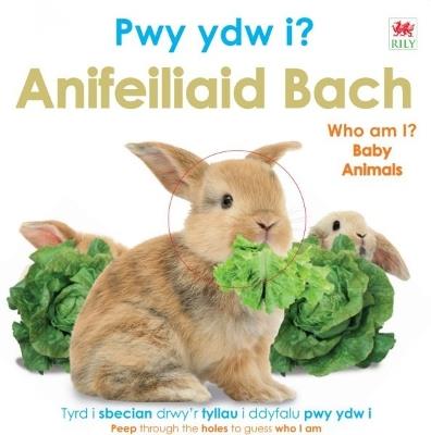 Pwy Ydw i? Anifeiliaid Bach / Who Am I? Baby Animals - DK - cover