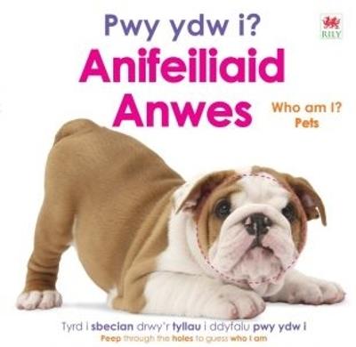 Pwy ydw i? Anifeiliaid Anwes / Who Am I? Pets - DK - cover