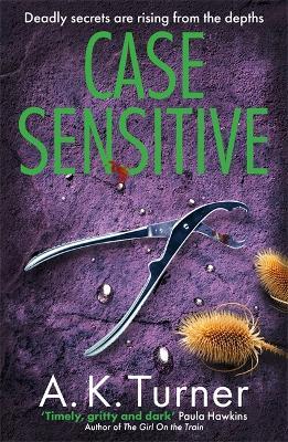 Case Sensitive: A gripping forensic mystery set in Camden - A. K. Turner - cover