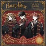 Calendario 30x30 harry potter 2025 pyramid