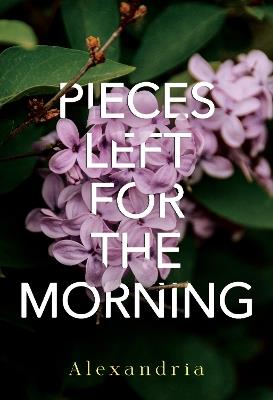 Pieces Left for the Morning - Alexandria - cover