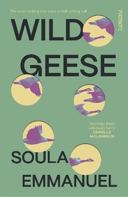 Wild Geese: the LAMBDA and GORDON BOWKER VOLCANO PRIZE winner - Soula Emmanuel - cover
