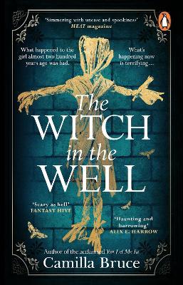 The Witch in the Well: A deliciously disturbing Gothic tale of a revenge reaching out across the years - Camilla Bruce - cover