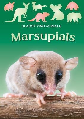 Marsupials - Madeline Tyler - cover