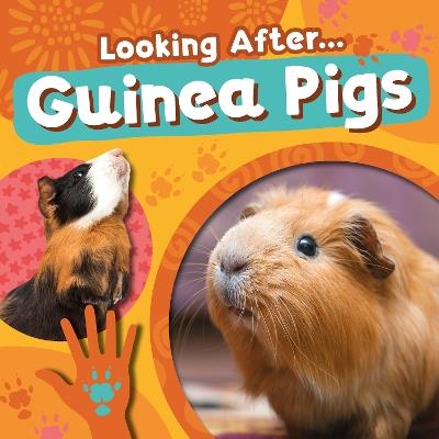 Guinea Pigs - Rebecca Phillips-Bartlett - cover