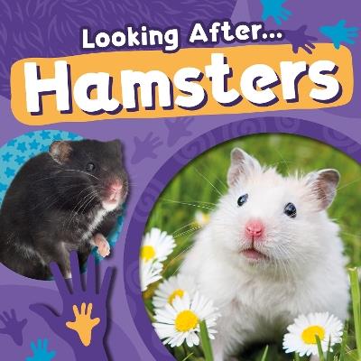 Hamsters - Rebecca Phillips-Bartlett - cover
