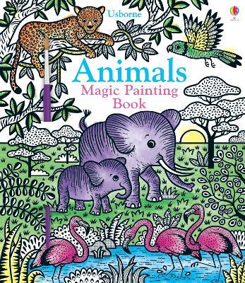 Animals Magic Painting Book - Sam Taplin - cover