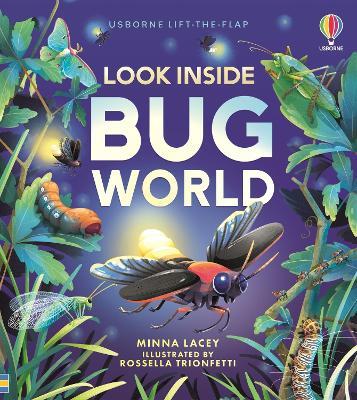 Look Inside Bug World - Minna Lacey - cover