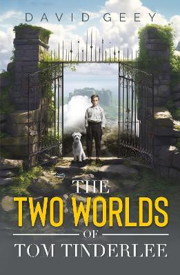The Two Worlds of Tom Tinderlee - David Geey - cover