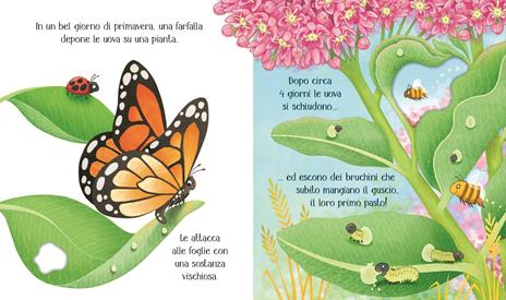 La farfalla. Ediz. a colori - Lesley Sims - 2