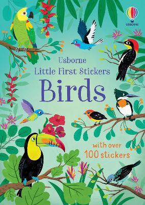 Little First Stickers Birds - Jane Bingham - cover