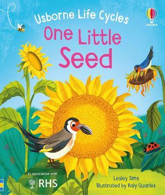 One Little Seed - Lesley Sims - cover