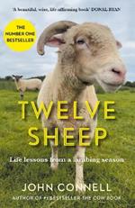 Twelve Sheep: Life lessons from a lambing season