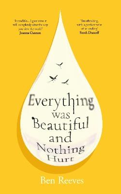 Everything was Beautiful and Nothing Hurt: ‘Incredible... I guarantee it will completely alter the way you view the world’ Joanna Cannon - Ben Reeves - cover