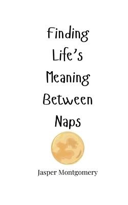 Finding Life's Meaning Between Naps - Jasper Montgomery - cover