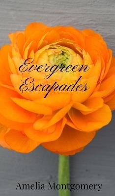 Evergreen Escapades - Amelia Montgomery - cover
