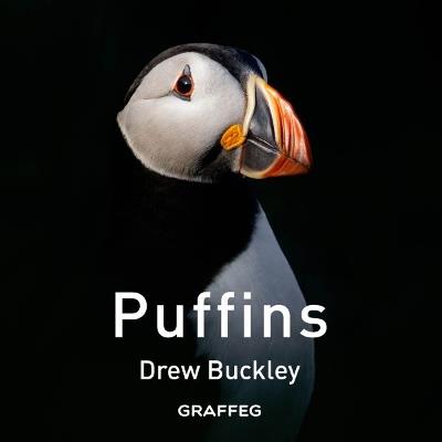 Puffins - Drew Buckley - cover