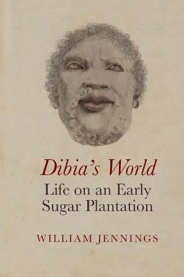 Dibia’s World: Life on an Early Sugar Plantation - William Jennings - cover