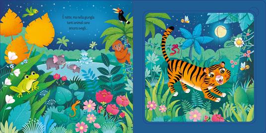Giungla. Ediz. illustrata - Sam Taplin - 2