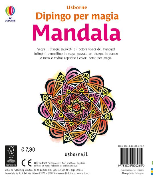 Mandala. Ediz. illustrata. Con pennello - Abigail Wheatley - 3