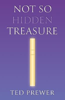 Not So Hidden Treasure - Ted Prewer - cover