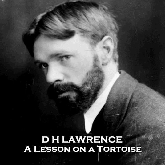 Lesson on a Tortoise, A