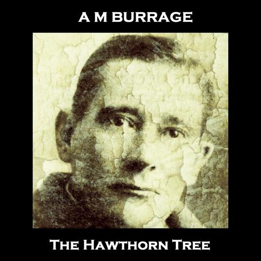 Hawthorn Tree, The